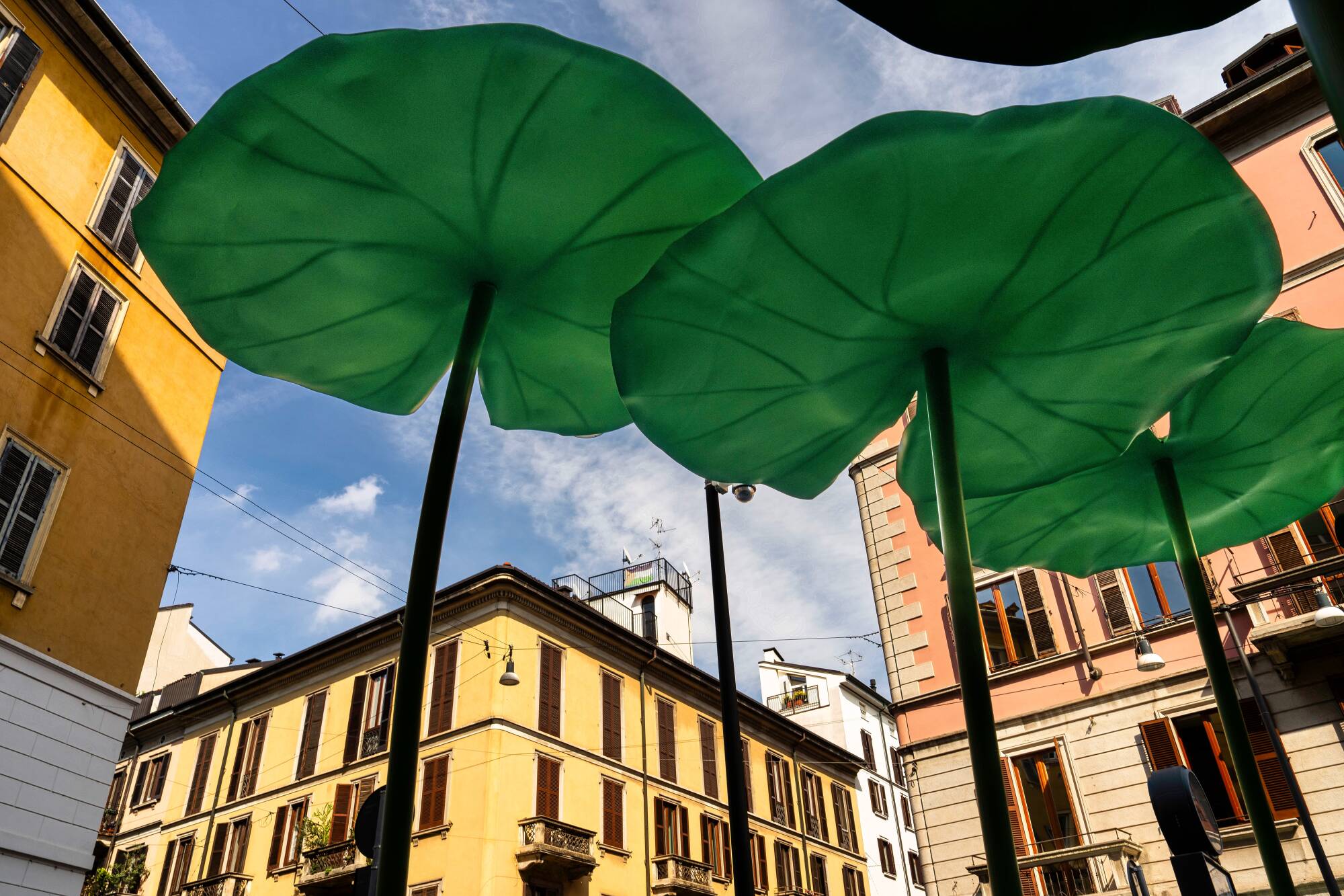 The Frog Is Back Design Week Milano Low Definition (1) (1)